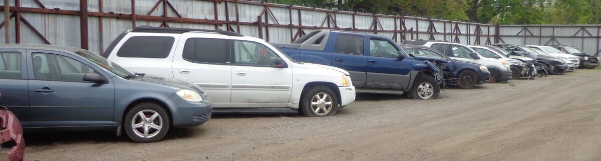 DSC00598 (1280×344)