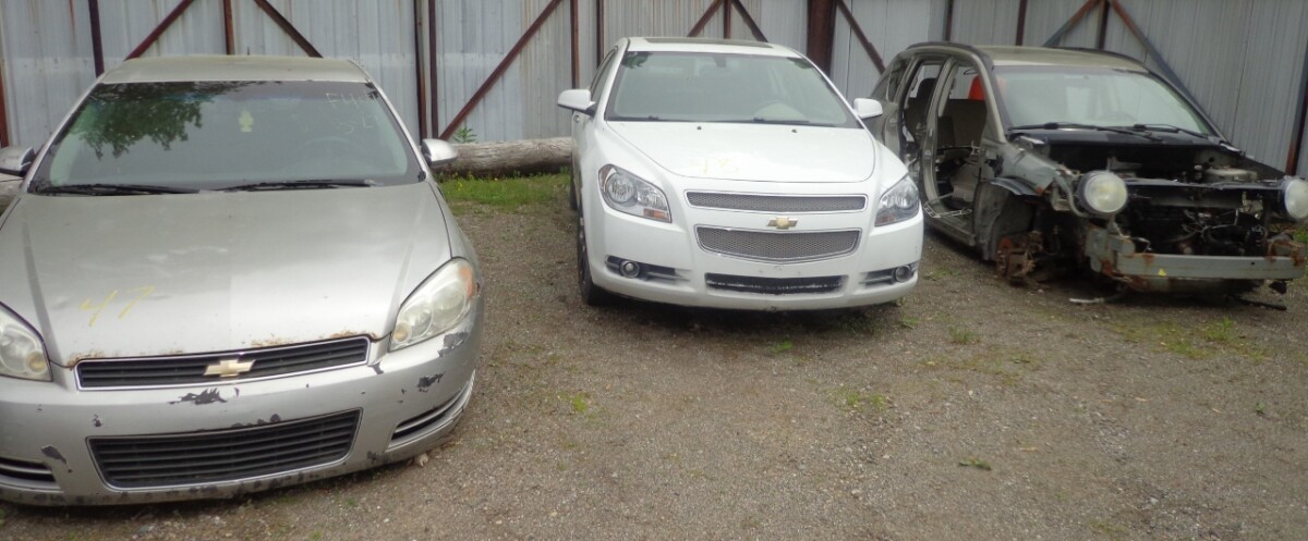 DSC00599 (1280×530)