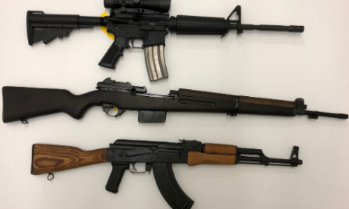Michigan firearm auction