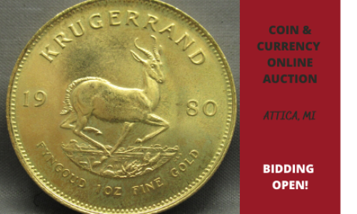 Michigan online coin auction