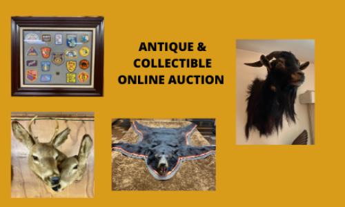 Auction Listings(140)