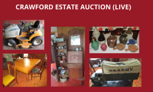 Auction Listings(309)