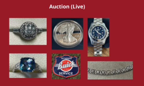 Auction Listings(431)